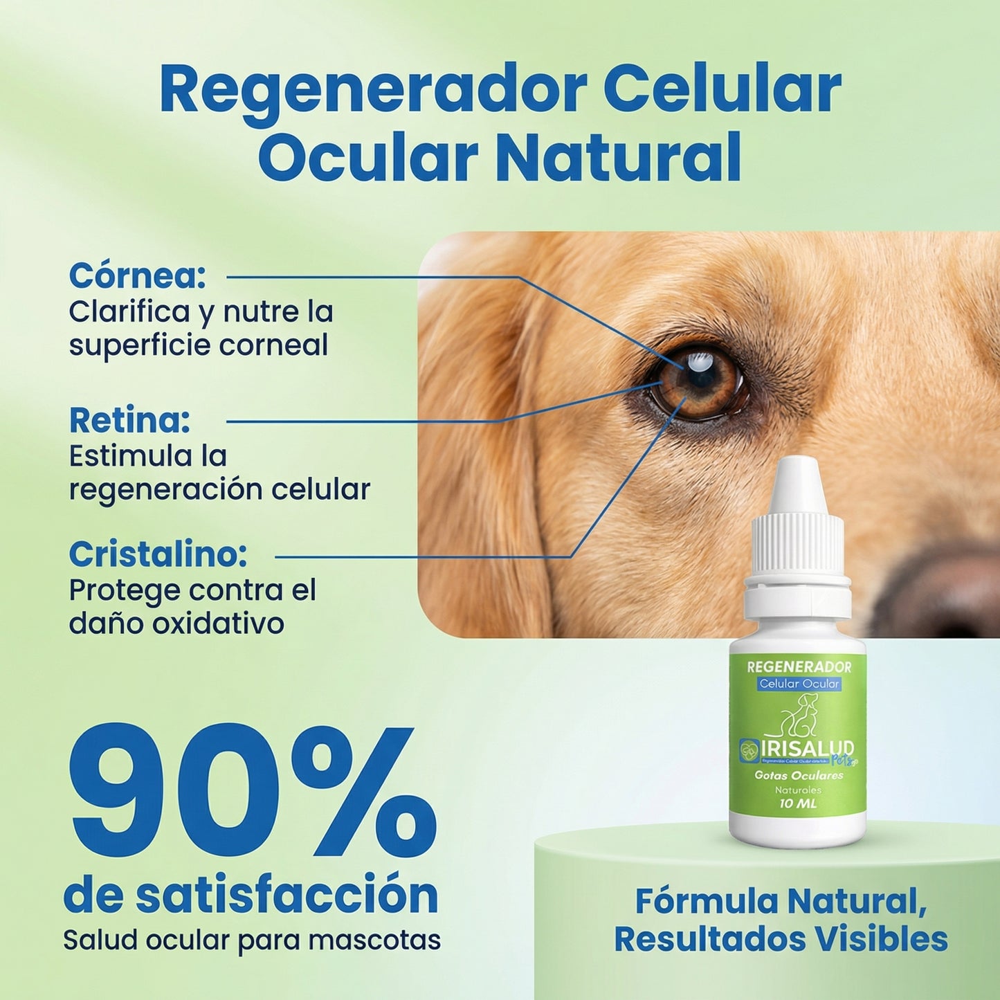 Irisalud Pets Regenerador Celular Ocular | Tratamiento condiciones visuales Perros , Gatos y Aves.